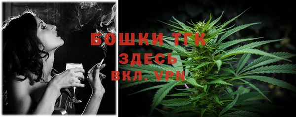 прущие грибы Михайловка