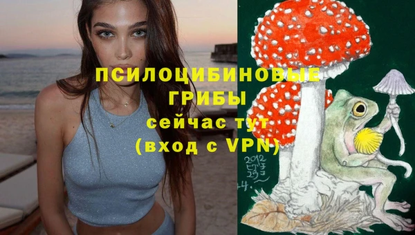 дживик Алзамай