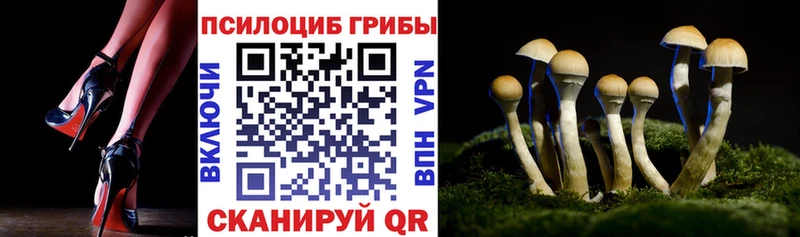 мега онион  Тында  Псилоцибиновые грибы мухоморы 
